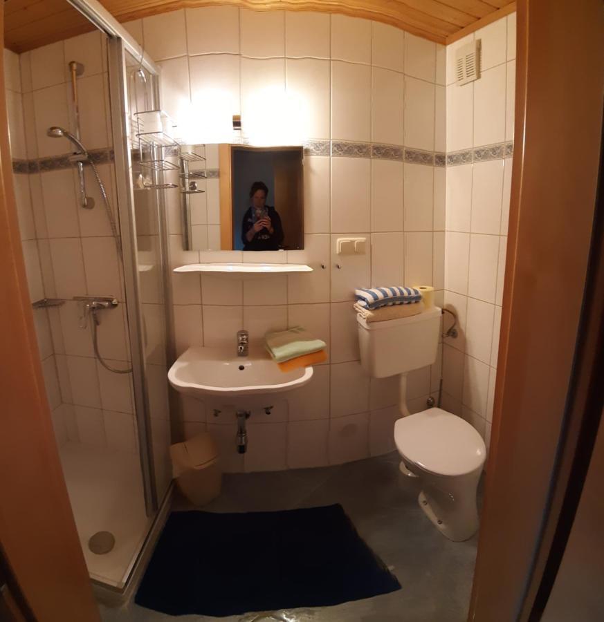 Ferienwohnung Schoenauer Haus im Ennstal Dış mekan fotoğraf