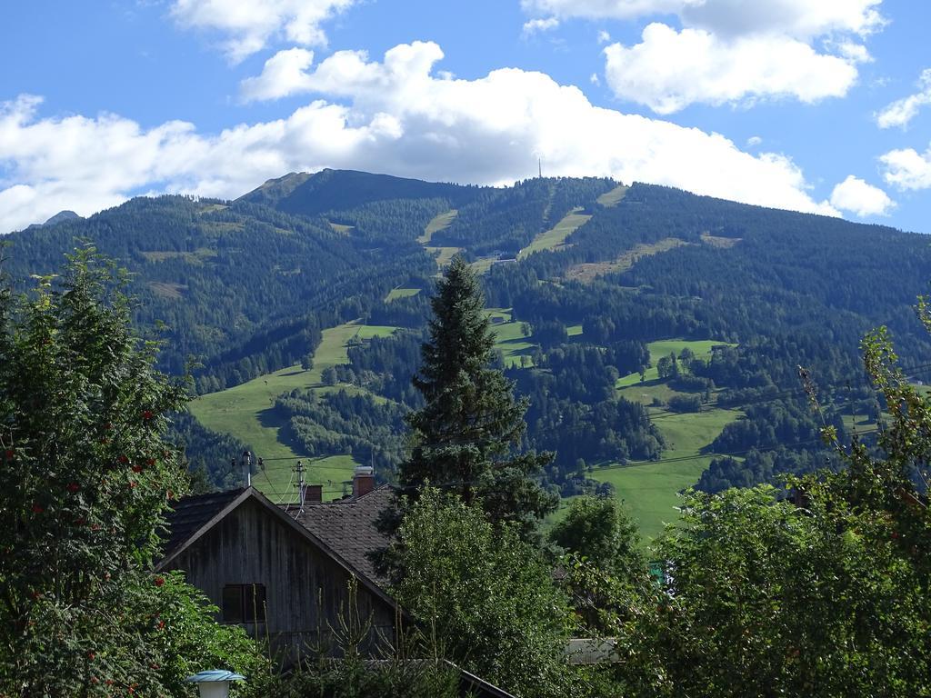 Ferienwohnung Schoenauer Haus im Ennstal Dış mekan fotoğraf