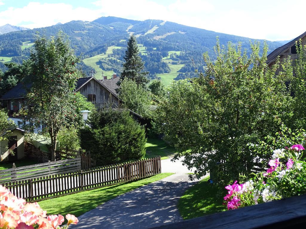 Ferienwohnung Schoenauer Haus im Ennstal Dış mekan fotoğraf